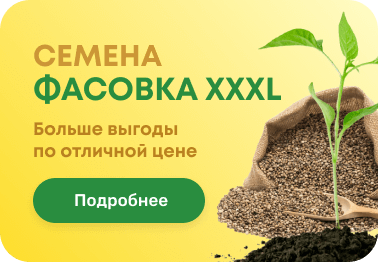 Заказ каталога семена польские семена капусты